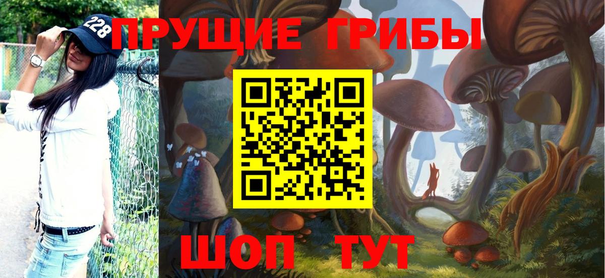 Псилоцибиновые грибы MAGIC MUSHROOMS  Вход с VPN  Карпинск 
